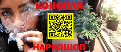 таблы Новозыбков